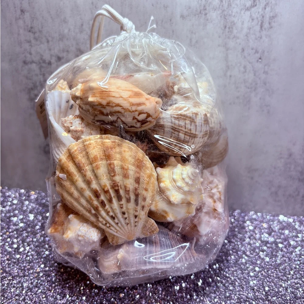 Pottery Barn Seashell Mix in Natural Tan and Cream